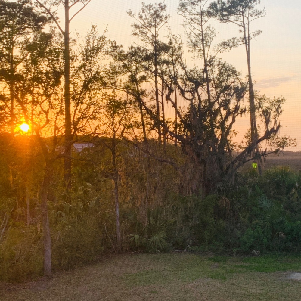 Meet your Posher, Juliana